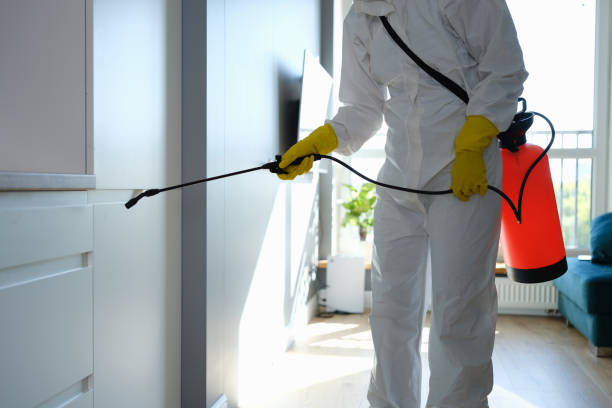 Best Mold Inspection  in Lebanon, KY